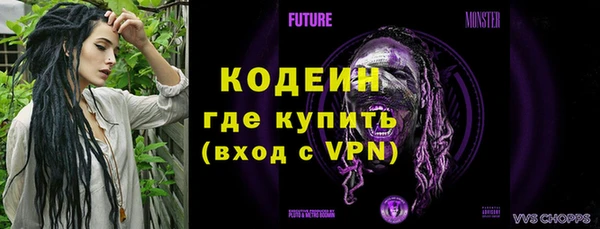 ГАЛЛЮЦИНОГЕННЫЕ ГРИБЫ Каменка