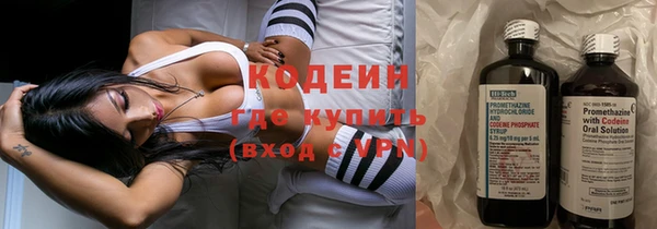 ГАЛЛЮЦИНОГЕННЫЕ ГРИБЫ Каменка