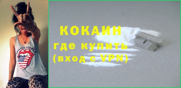 ГАЛЛЮЦИНОГЕННЫЕ ГРИБЫ Каменка