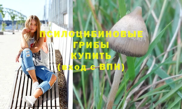 ГАЛЛЮЦИНОГЕННЫЕ ГРИБЫ Каменка