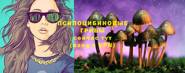ГАЛЛЮЦИНОГЕННЫЕ ГРИБЫ Каменка