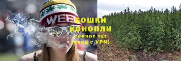ГАЛЛЮЦИНОГЕННЫЕ ГРИБЫ Каменка