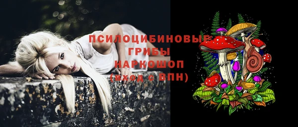 мескалин Каменногорск