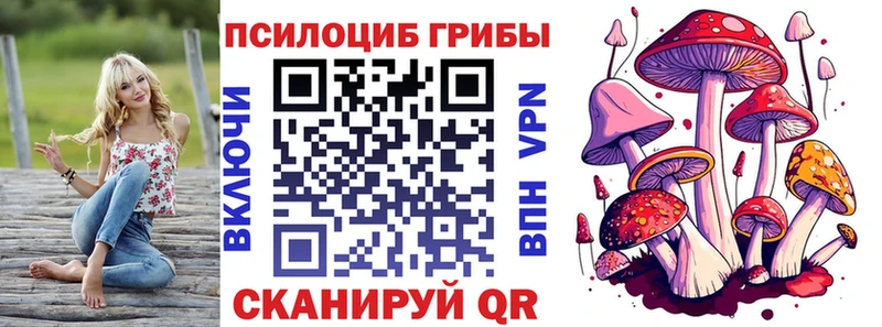 Купить  Горно-Алтайск  Галлюциногенные грибы мицелий 